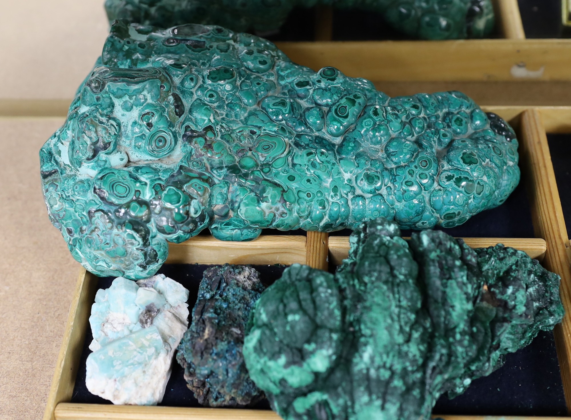 A collection of malachite varying in size and clarity (12)